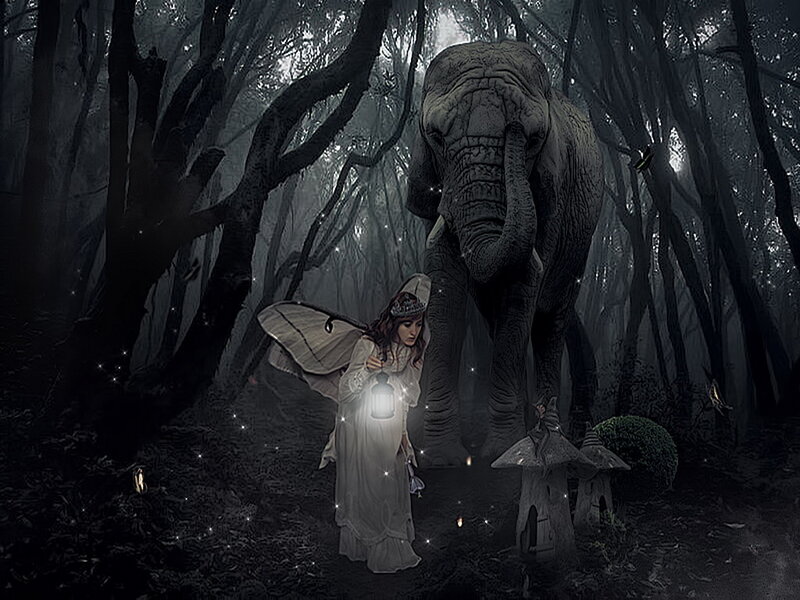 Woman with Fairy Wings — Black, Mysterious, Night