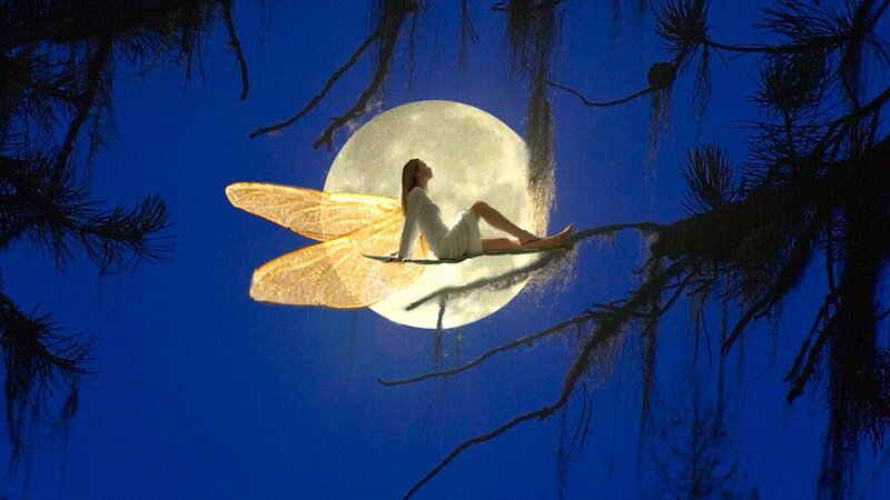 Woman with Fairy Wings — Blue, Serene, Night, Digital Art, Moon, Tree Branches