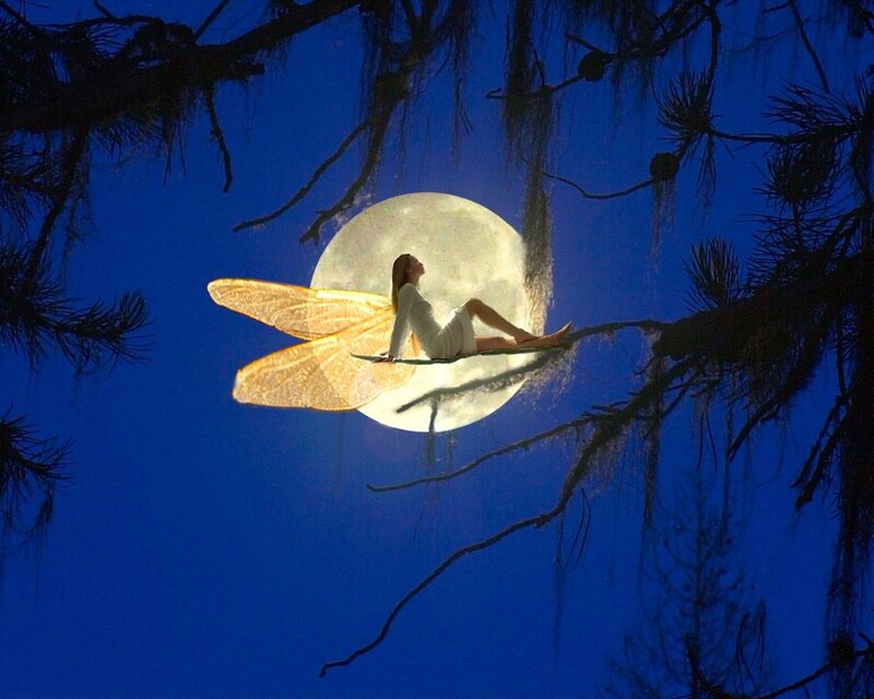 Woman with Fairy Wings — Blue, Serene, Night, Digital Art