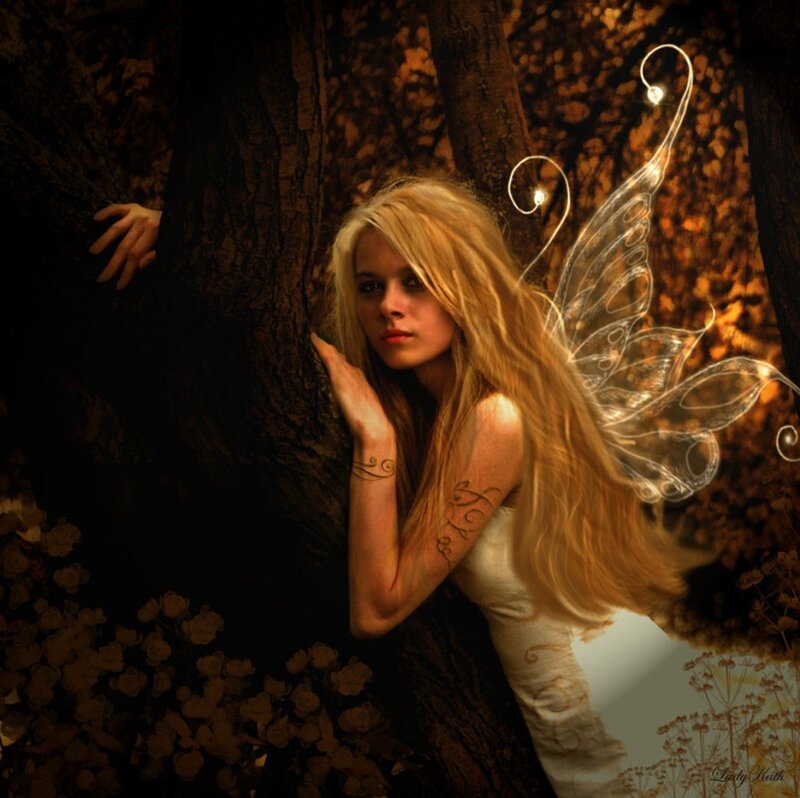 Woman with Fairy Wings — Brown, Dramatic, Night