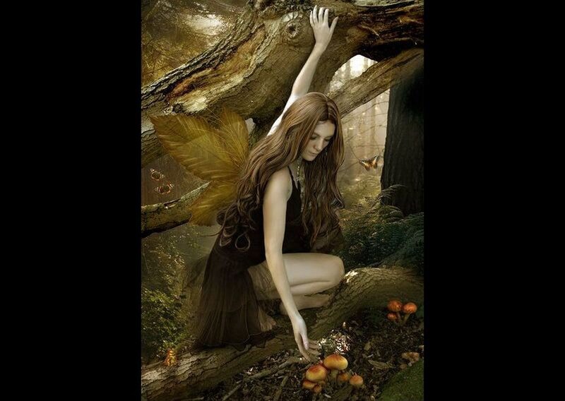 Woman with Fairy Wings — Brown, Serene, Afternoon