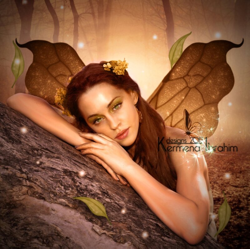 Woman with Fairy Wings — Brown, Serene, Sunset