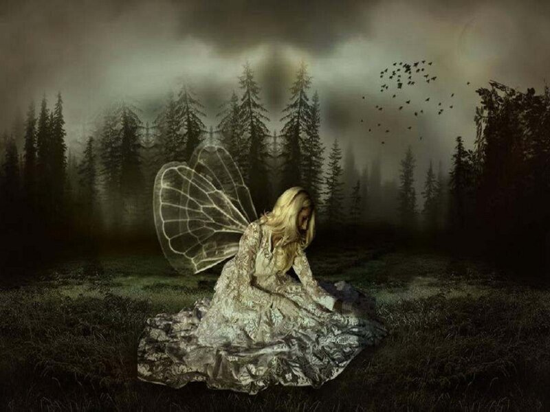 Woman with Fairy Wings — Gray
