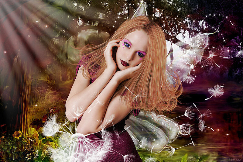 Woman with Fairy Wings — Purple, Dreamy, Night