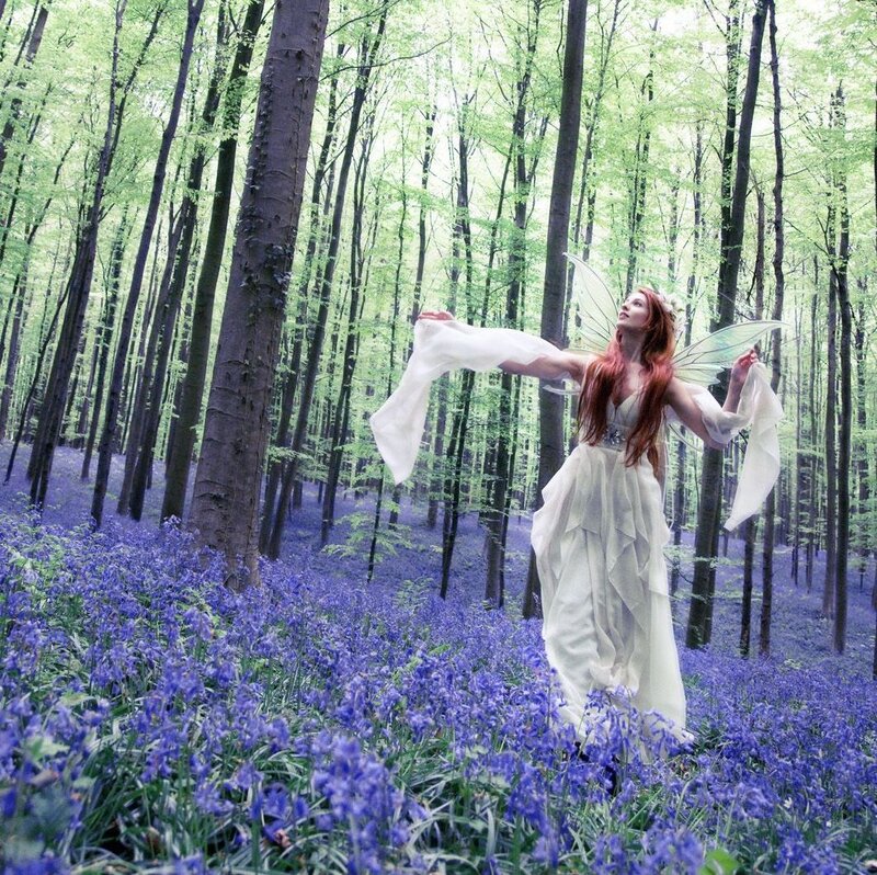 Woman with Fairy Wings — Purple, Serene, Spring