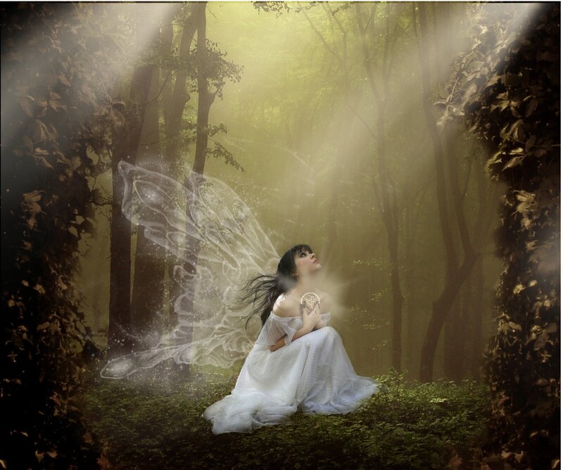 Woman with Fairy Wings — White, Serene, Morning