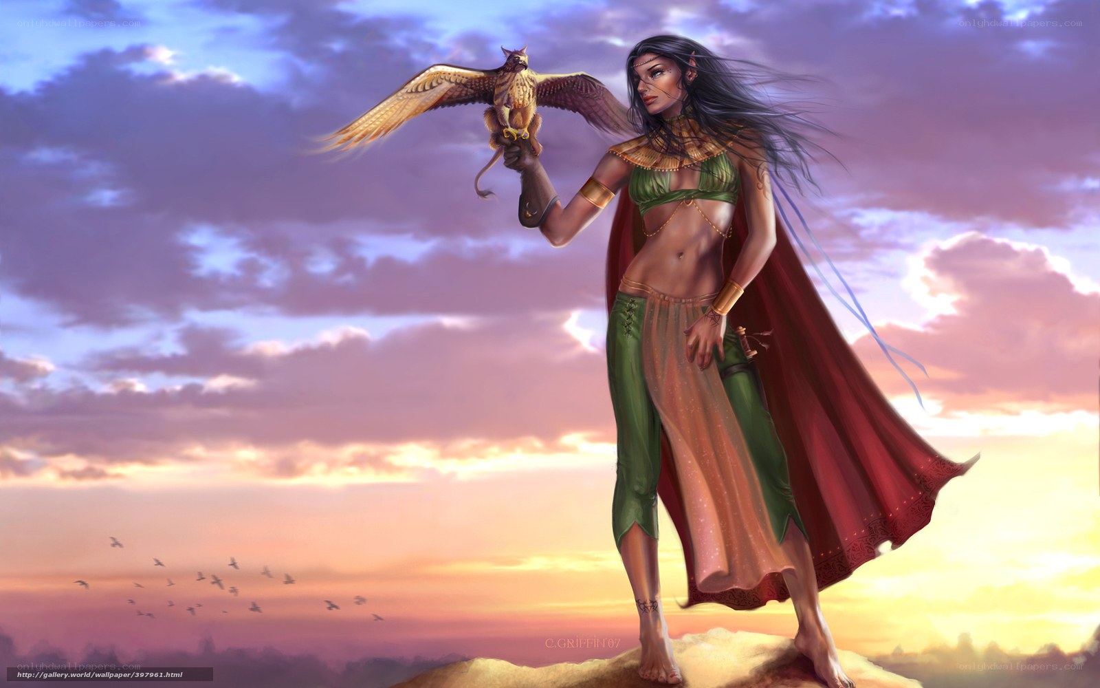 Woman with falcon at sunset