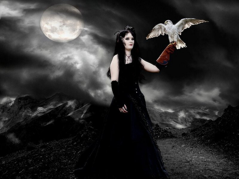 Woman with Falcon — Black, Dramatic, Night