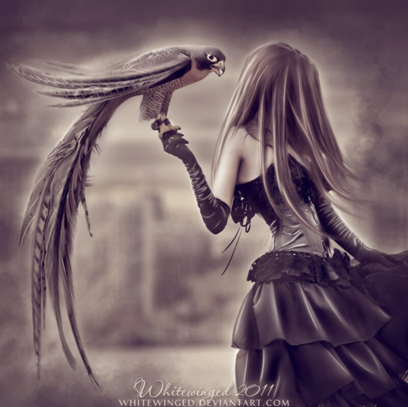 Woman with Falcon — Gray