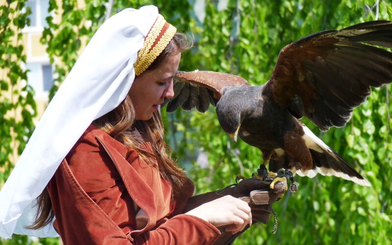 Woman with falcon on glove