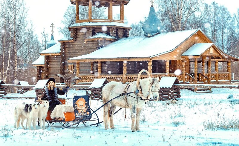 Woman with Falcon on Sleigh