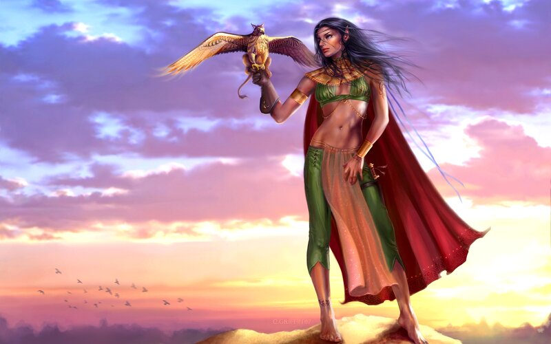 Woman with Falcon — Purple, Dramatic, Sunset