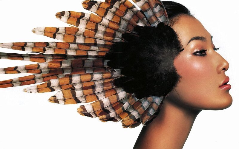 Woman with Feather Headdress — Brown, Dramatic