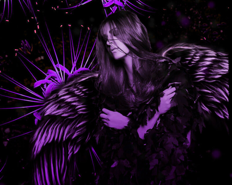 Woman with Feathered Wings — Purple, Dramatic, Night
