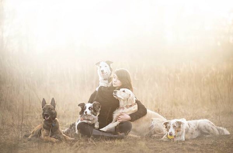 Woman with Five Dogs — Brown
