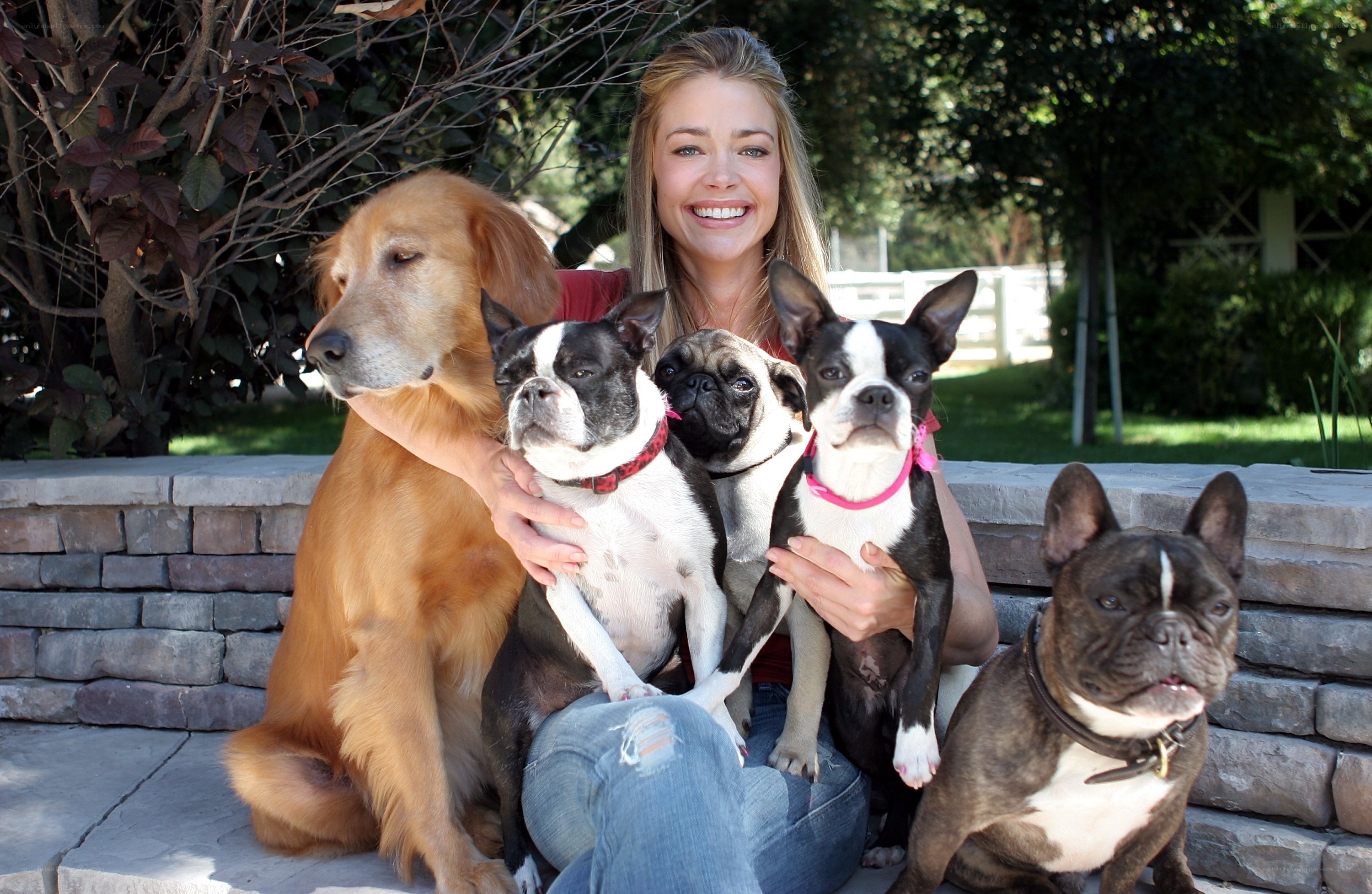 woman with five dogs