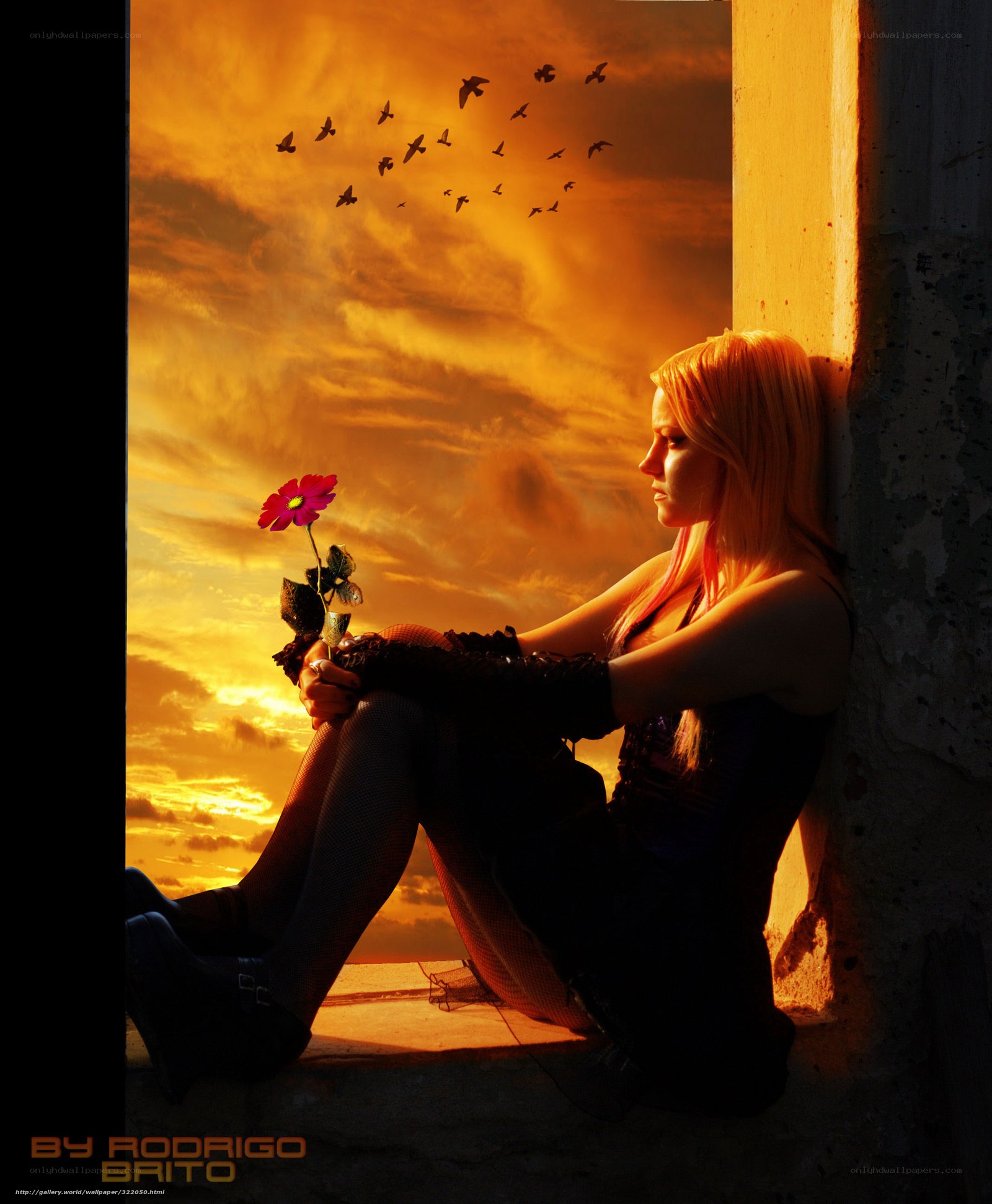 woman with flower at sunset