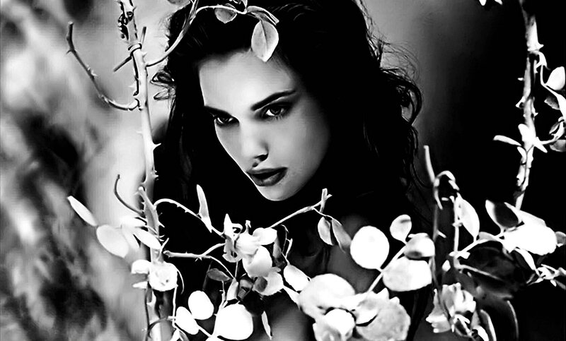 Woman with Flowers — Black, Dramatic, Photograph, Thorns