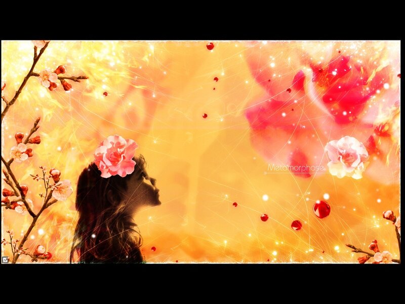woman with flowers in golden light