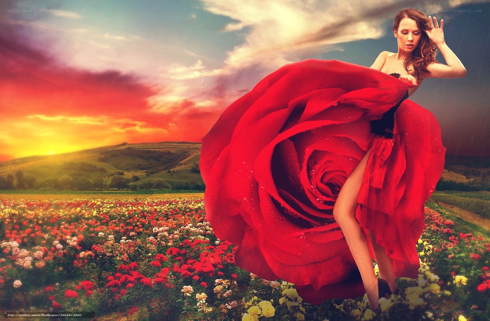 woman with giant red rose