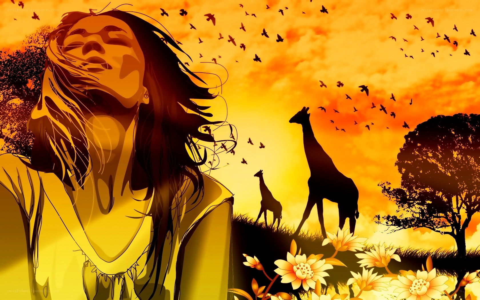 woman with giraffes at sunset