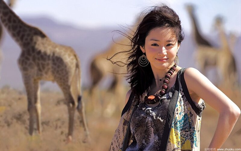 woman with giraffes in background