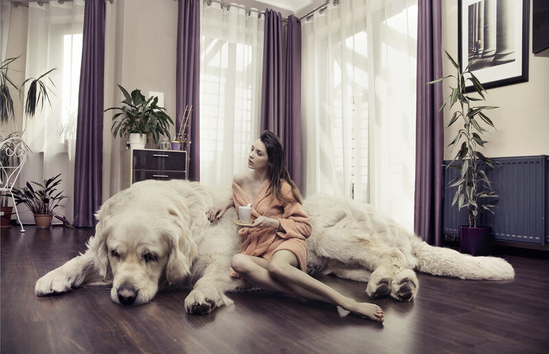 Woman with Golden Retriever — Brown, Calm, Morning