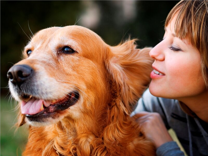 Woman with Golden Retriever — Calm