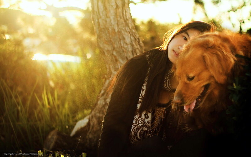 woman with golden retriever in sunlight