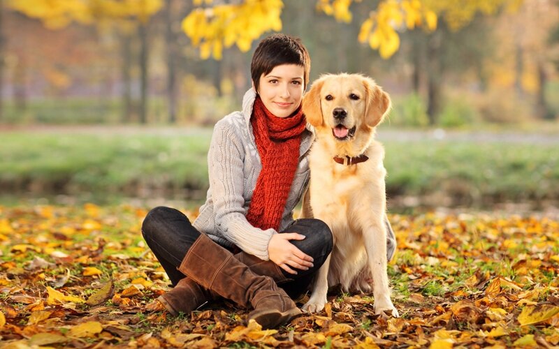 Woman with Golden Retriever — Yellow, Calm, Autumn
