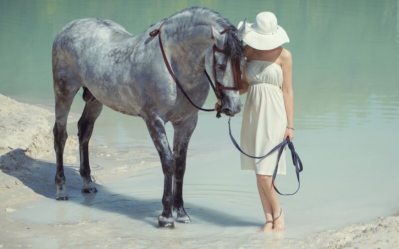 Woman with Gray Horse — White