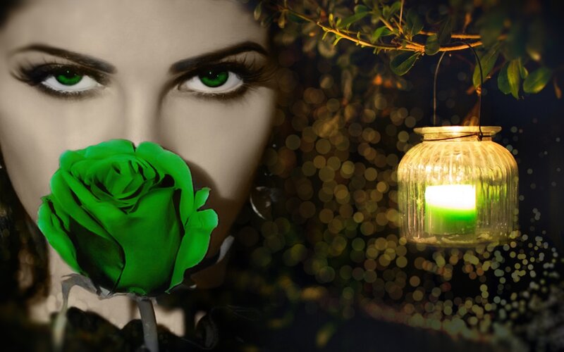 Woman with Green Rose — Dramatic