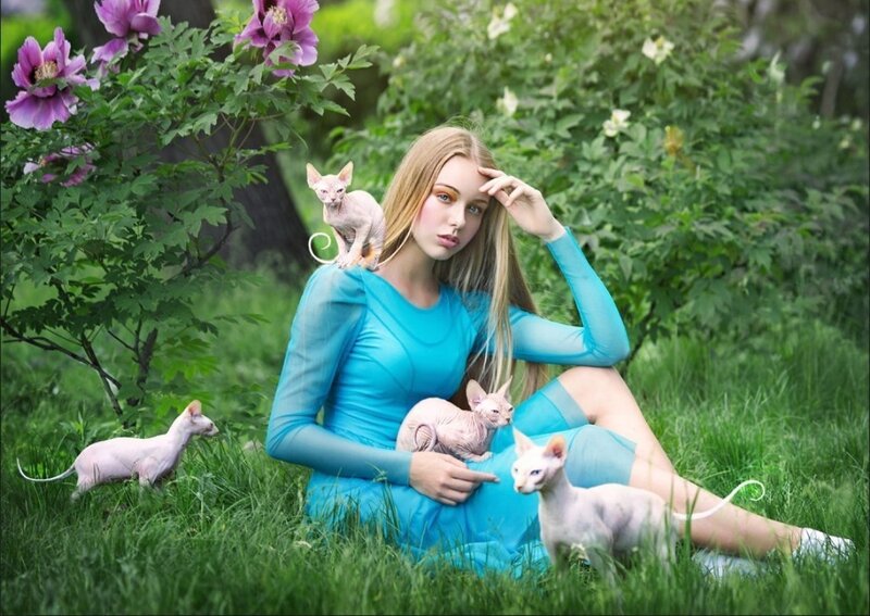Woman with Hairless Cats — Blue