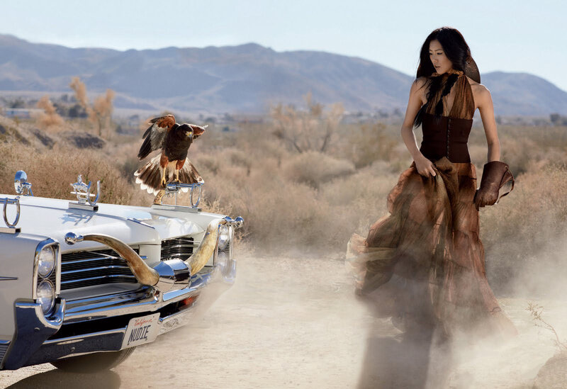 Woman with Hawk in Desert