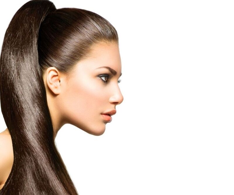 Woman with High Ponytail — Brown