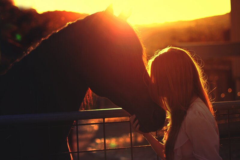 woman with horse at sunset