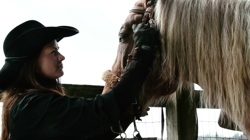 Woman with Horse — Black, Calm, Photograph