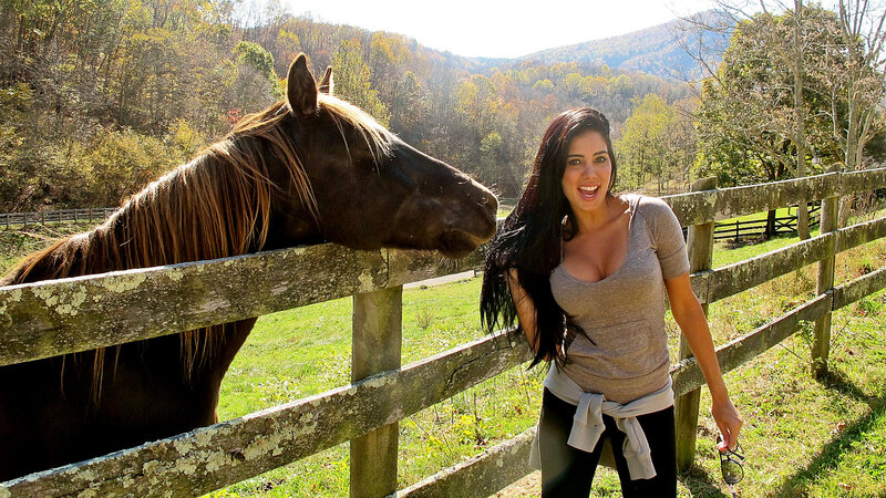 Woman with Horse — Brown, Peaceful, Autumn