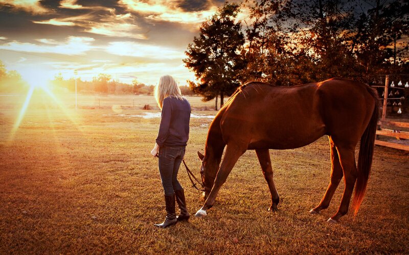 Woman with Horse — Brown, Serene, Sunset, Photograph