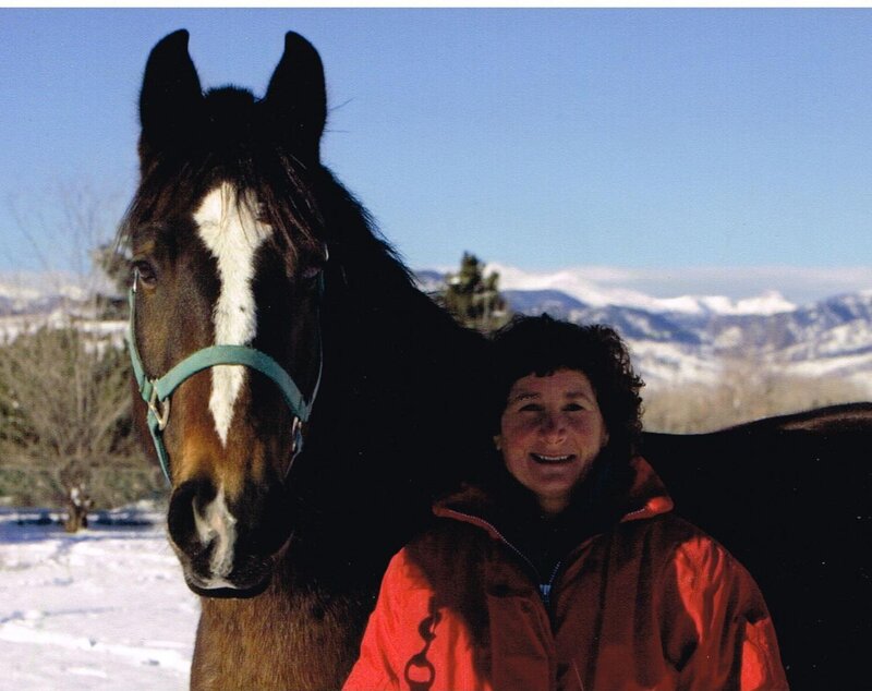 Woman with Horse — Brown, Serene, Winter