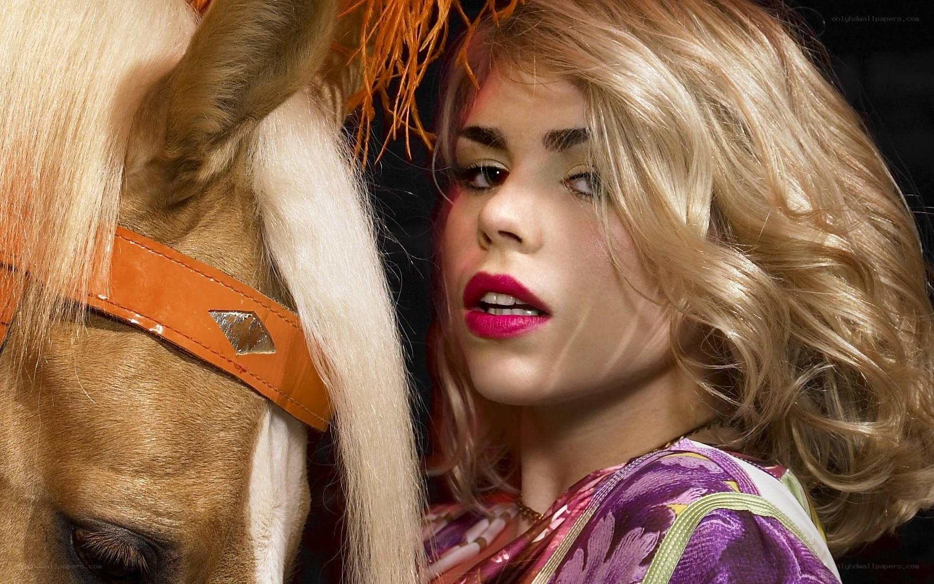 woman with horse close-up