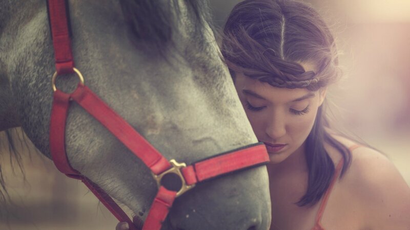 Woman with Horse — Gray