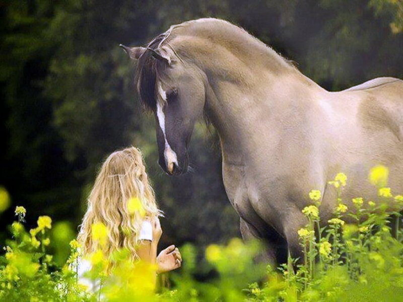 Woman with Horse — Green