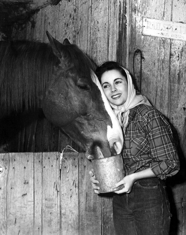 woman with horse in barn