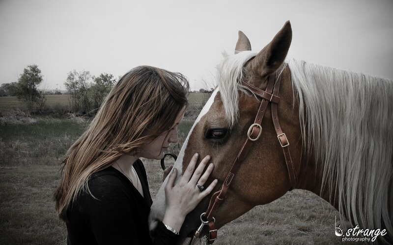 woman with horse in field