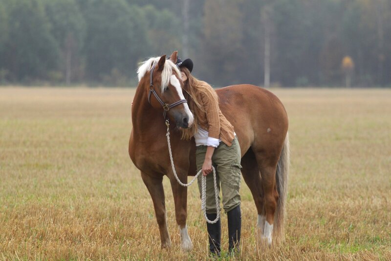 Woman with horse in field