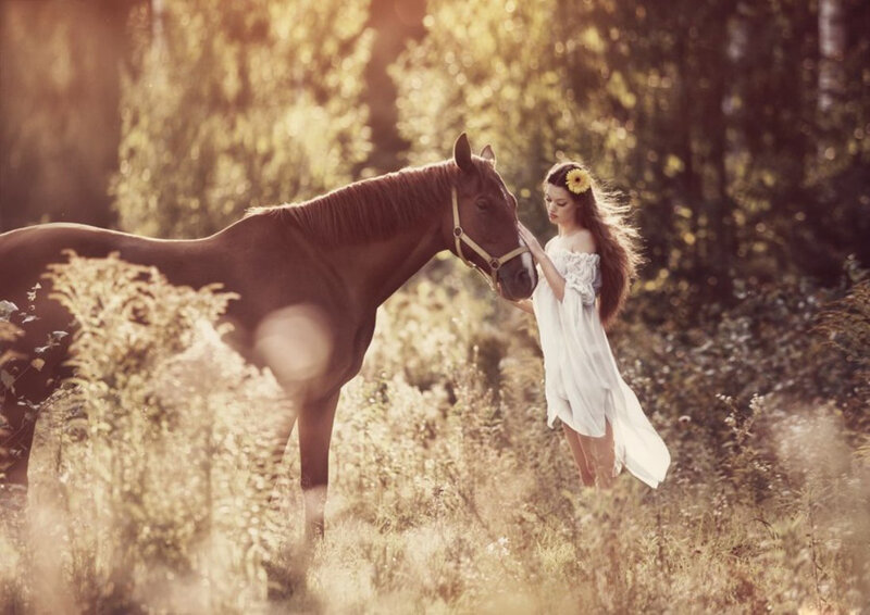 Woman with Horse in Field — Brown, Serene, Sunset