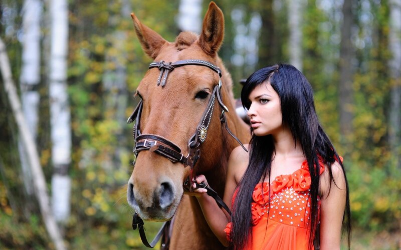 woman with horse in forest