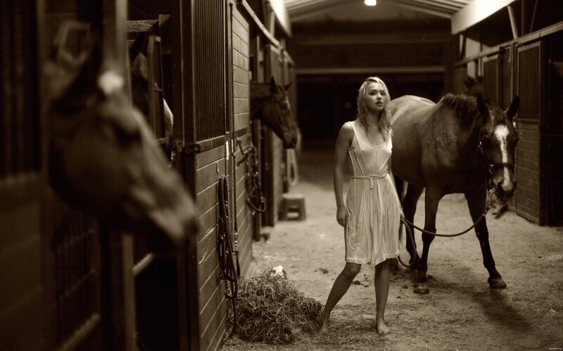 Woman with horse in stable