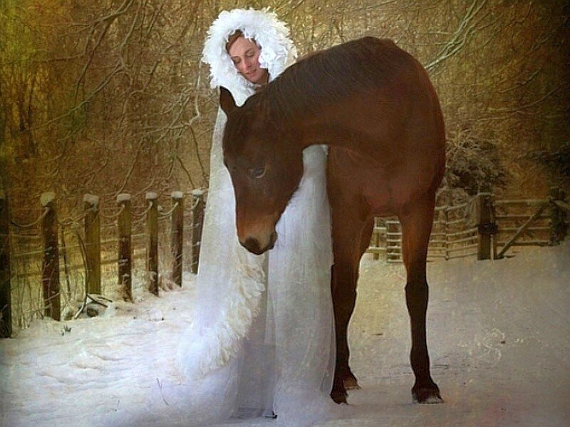 woman with horse in winter